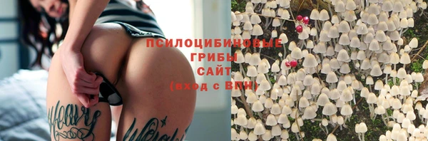 бошки Абдулино
